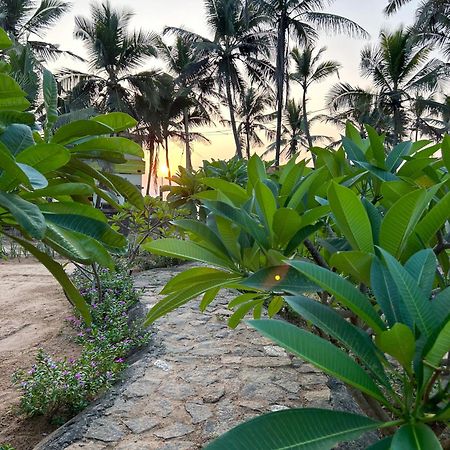 トリバンドラム Santa Maria, Trivandrum - An Airport Boutique By The Sea Bed & Breakfast エクステリア 写真