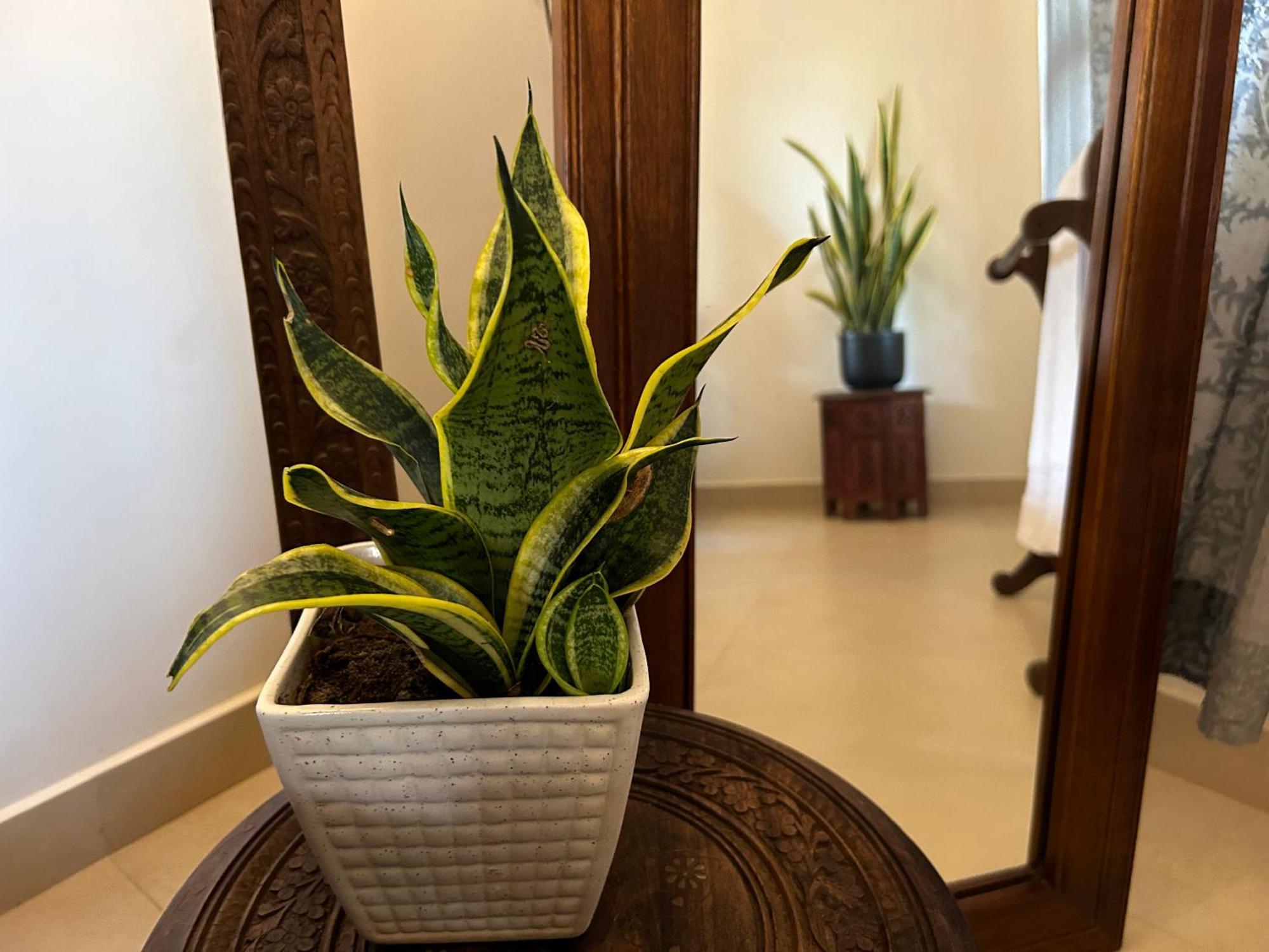 トリバンドラム Santa Maria, Trivandrum - An Airport Boutique By The Sea Bed & Breakfast エクステリア 写真