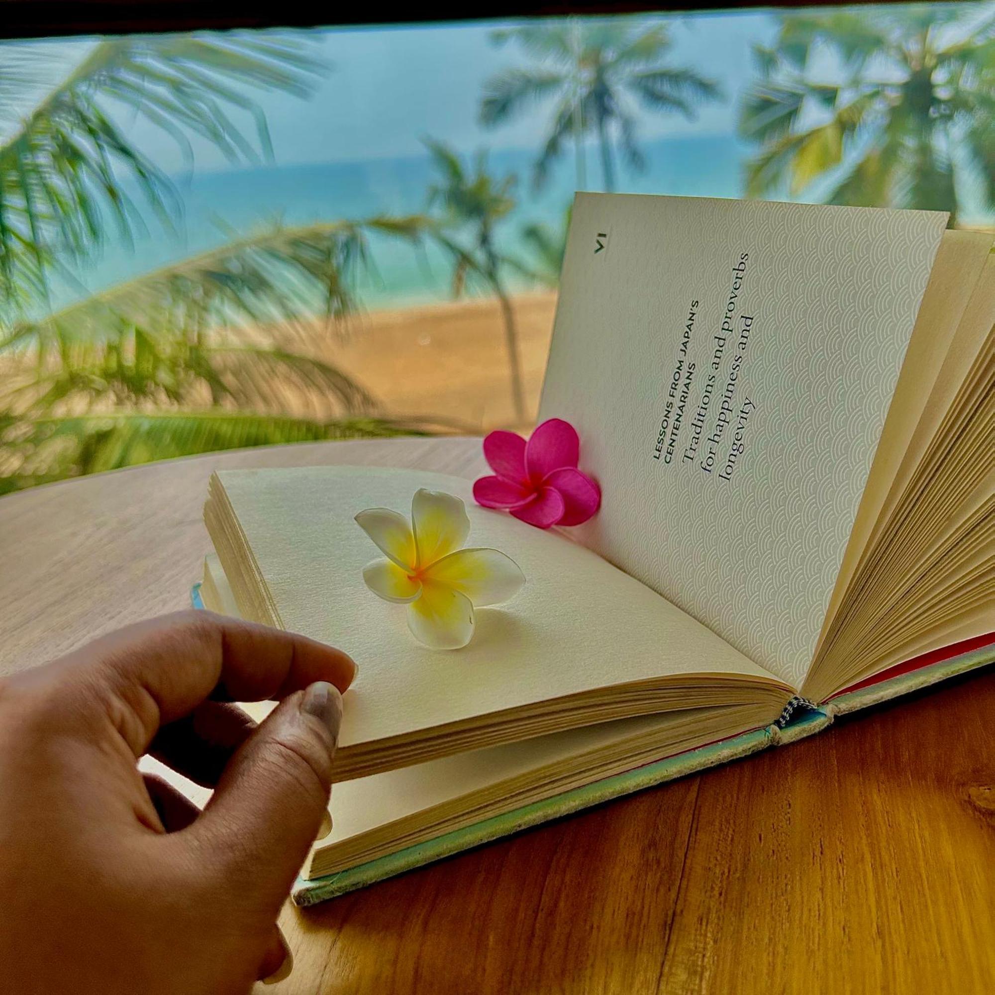 トリバンドラム Santa Maria, Trivandrum - An Airport Boutique By The Sea Bed & Breakfast エクステリア 写真