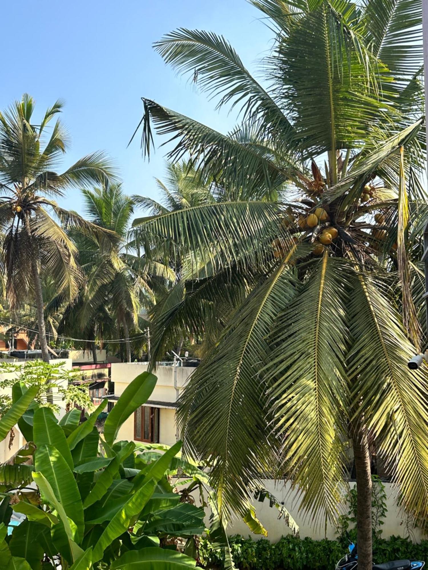 トリバンドラム Santa Maria, Trivandrum - An Airport Boutique By The Sea Bed & Breakfast エクステリア 写真