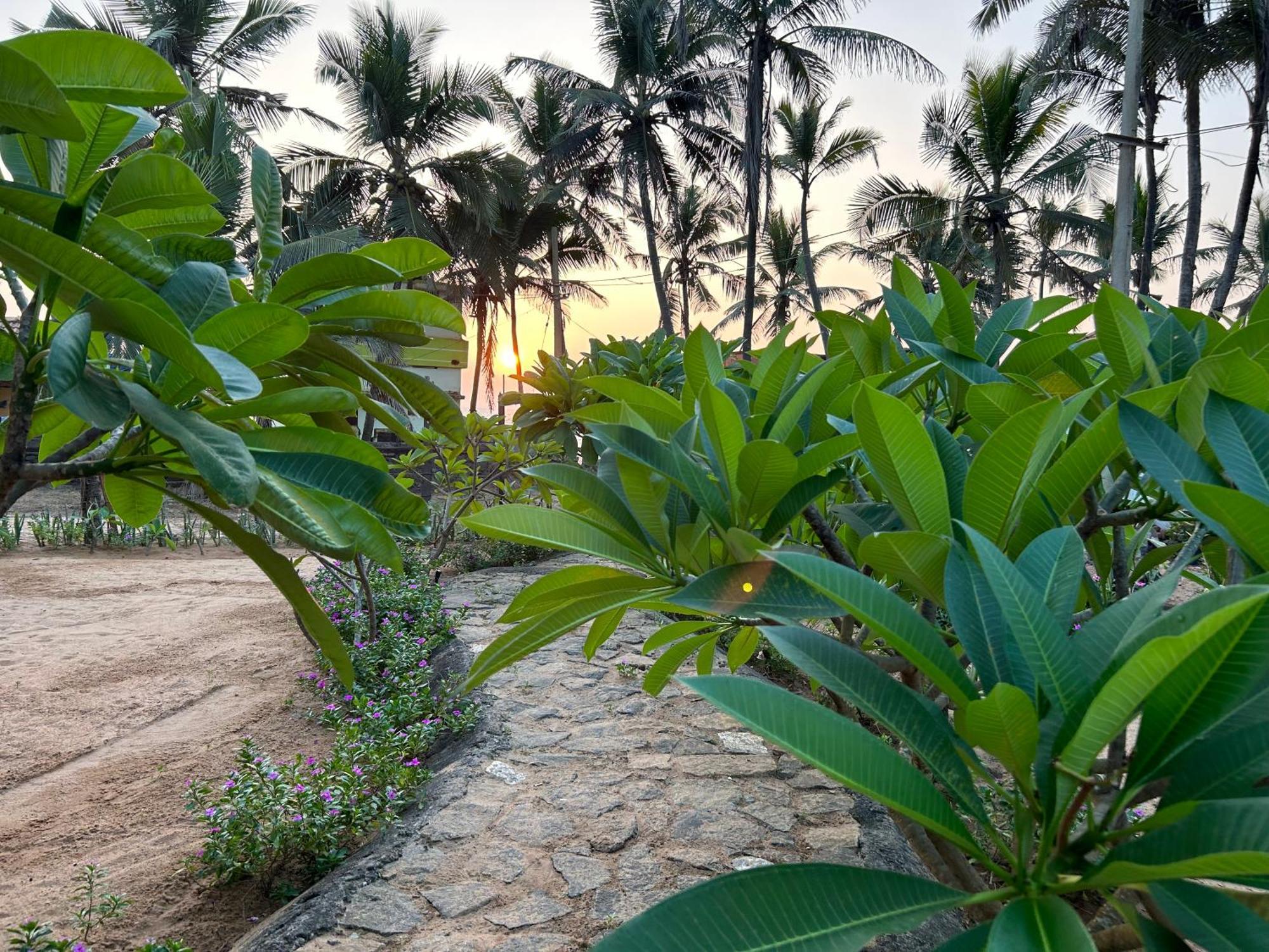 トリバンドラム Santa Maria, Trivandrum - An Airport Boutique By The Sea Bed & Breakfast エクステリア 写真