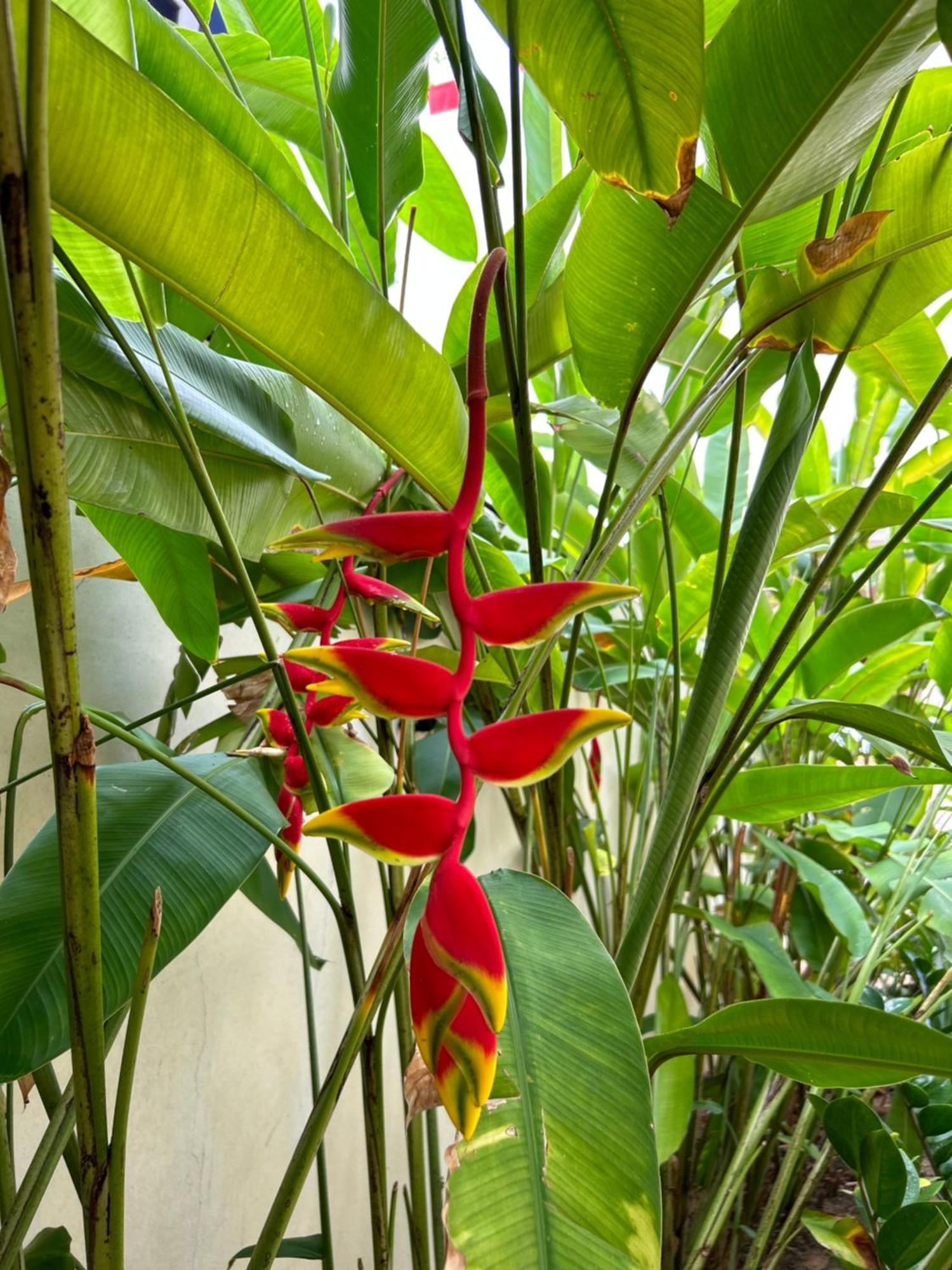 トリバンドラム Santa Maria, Trivandrum - An Airport Boutique By The Sea Bed & Breakfast エクステリア 写真